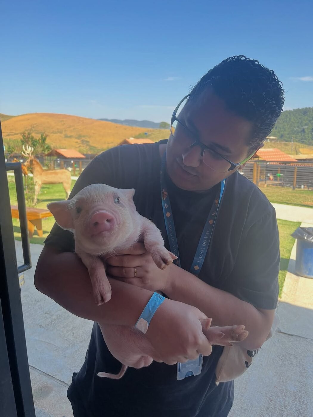 Contato com os animais da fazendinha